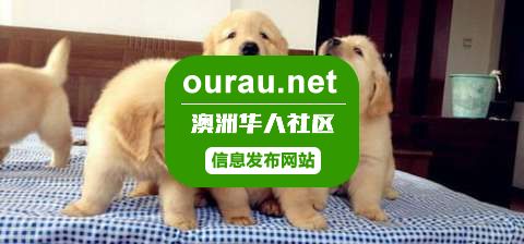 2345_image_file_copy_2_看图王.jpg