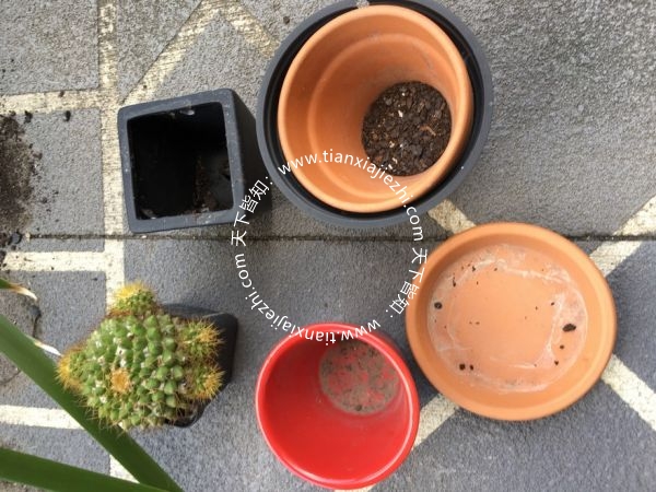 花盆出售，一堆 OurAu - 澳洲华人社区 - ourau.com
