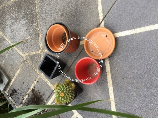 花盆出售，一堆 OurAu - 澳洲华人社区 - ourau.com